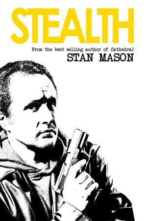 Cover of the book Stealth by C J Moran
