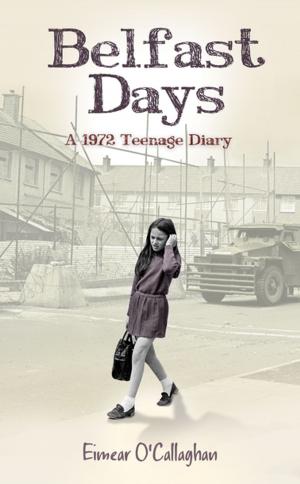 Cover of the book Belfast Days by Dan Harvey