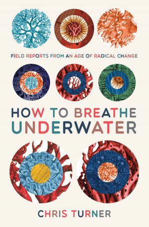 Cover of the book How to Breathe Underwater by Robert Melançon