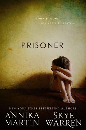 Cover of the book Prisoner by Rebecca Zanetti