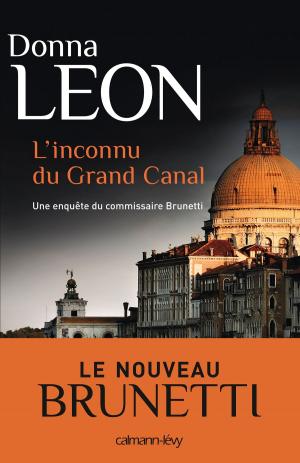Cover of the book L'Inconnu du grand canal by Jeff Vrolyks