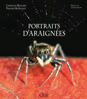 Cover of the book Portraits d'araignées by André Gallais