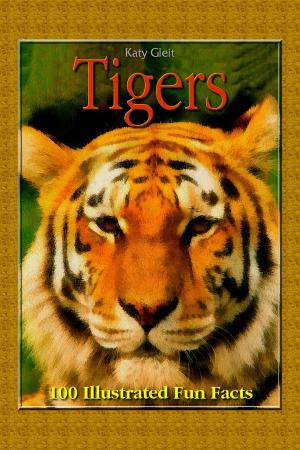 Cover of the book Tigers: 100 Illustrated Fun Facts by Andrew Siddle