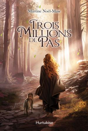 Cover of the book Trois millions de pas by Guillaume Lefrançois
