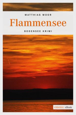 Cover of the book Flammensee by Reinhard Rohn
