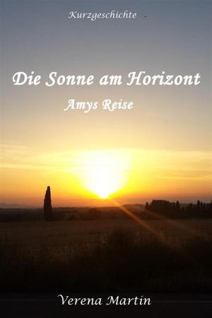 Book cover of Die Sonne am Horizont - Amys Reise