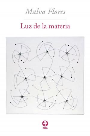 Cover of the book Luz de la materia by alex trostanetskiy