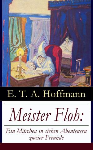 bigCover of the book Meister Floh: Ein Märchen in sieben Abenteuern zweier Freunde by 