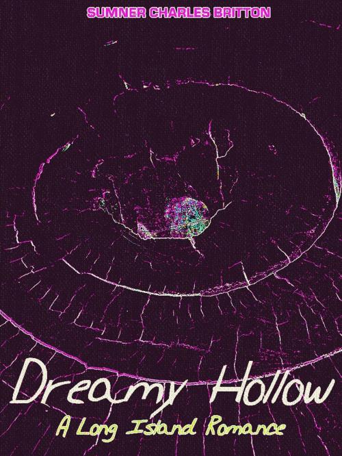 Cover of the book Dreamy Hollow by Sumner Charles Britton, World Syndicate Company