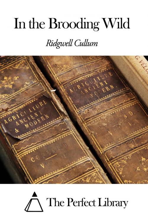 Cover of the book In the Brooding Wild by Ridgwell Cullum, The Perfect Library