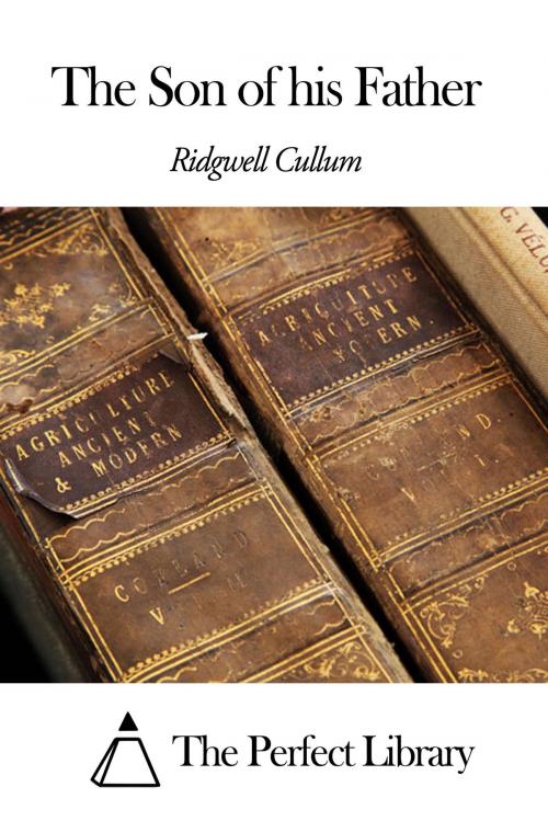 Cover of the book The Son of his Father by Ridgwell Cullum, The Perfect Library