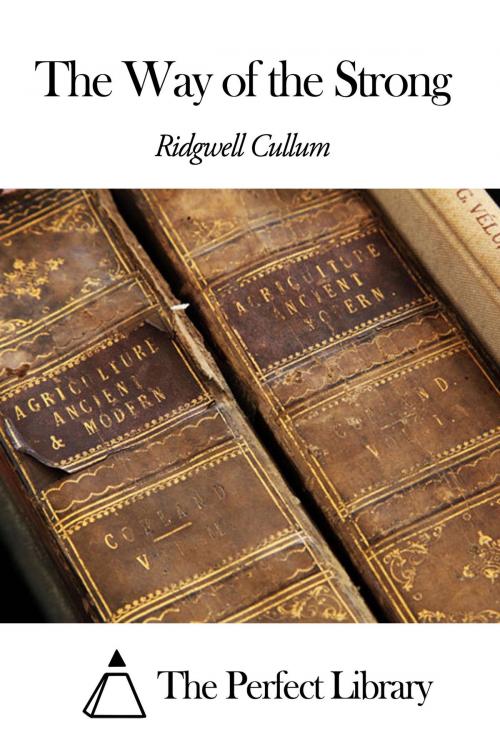 Cover of the book The Way of the Strong by Ridgwell Cullum, The Perfect Library