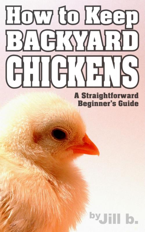 Cover of the book How to Keep Backyard Chickens by Jill b., Abundant Publishing