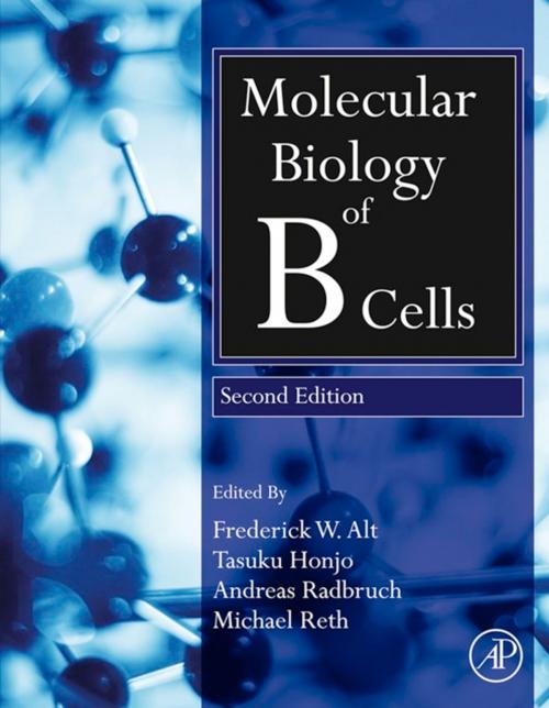 Cover of the book Molecular Biology of B Cells by , Elsevier Science