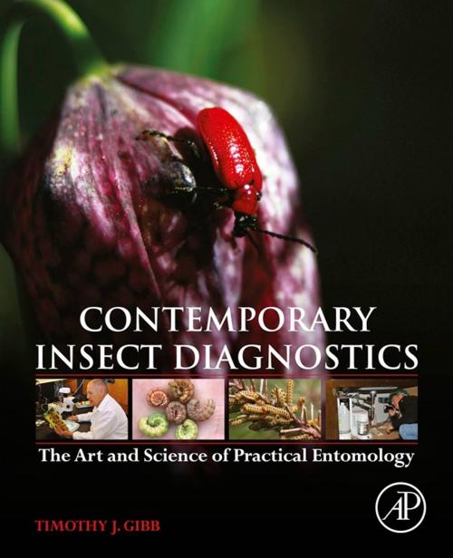 Cover of the book Contemporary Insect Diagnostics by Timothy J. Gibb, Elsevier Science