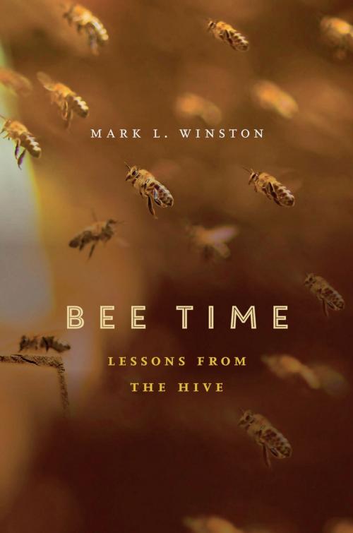 Cover of the book Bee Time by Mark L. Winston, Harvard University Press