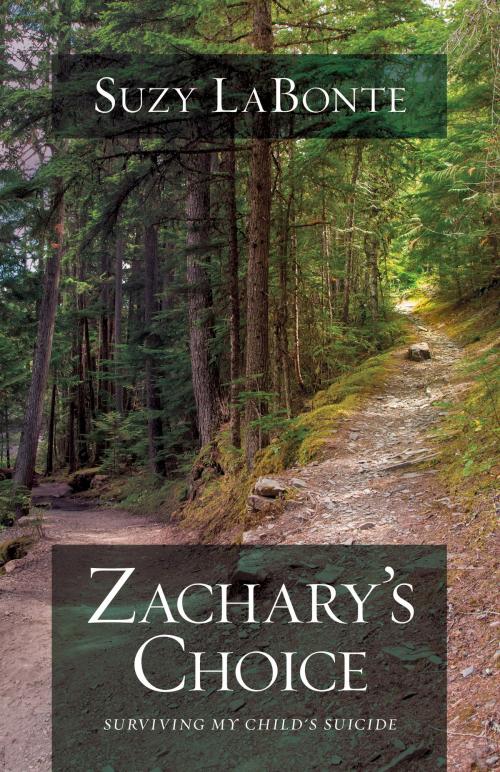 Cover of the book Zachary's Choice by Suzy LaBonte, David C Cook