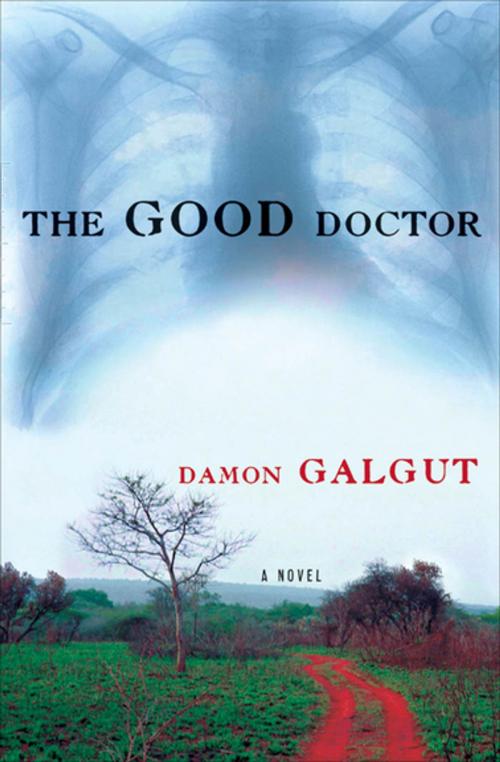 Cover of the book The Good Doctor by Damon Galgut, Grove Atlantic