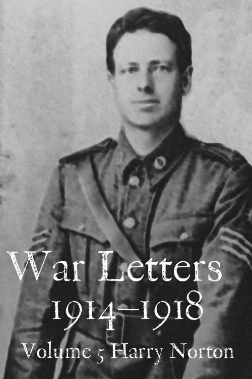 Cover of the book War Letters 1914-1918, Vol. 5 by Mark Tanner, warletters.net