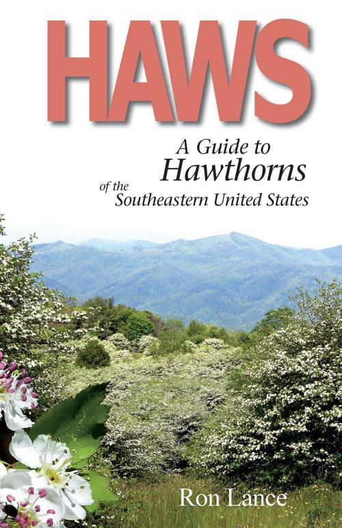 Cover of the book Haws; A Guide to Hawthorns of the Southeastern United States by Ron Lance, Ron Lance