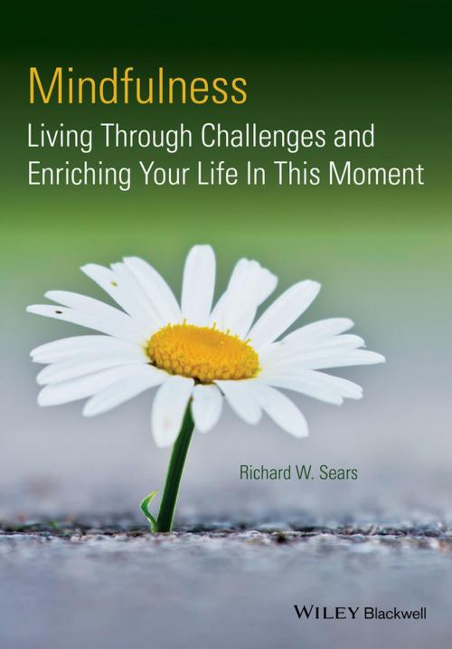 Cover of the book Mindfulness by Richard W. Sears, Wiley