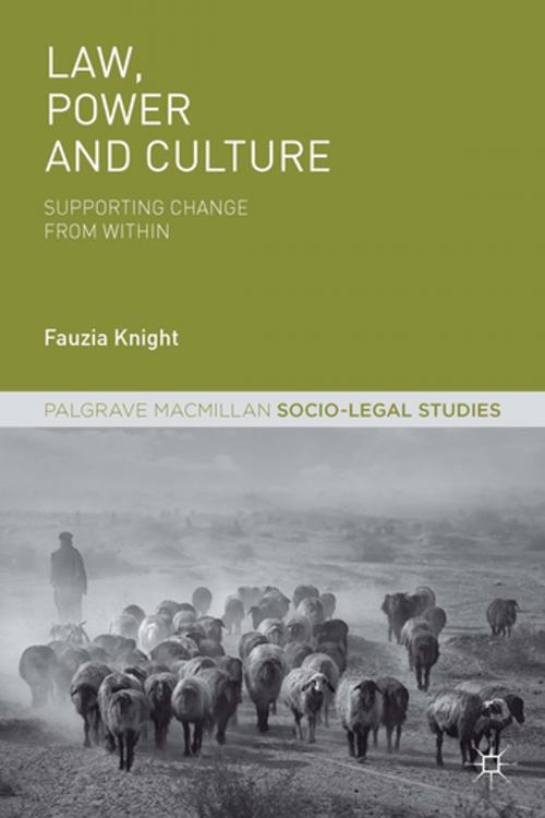 Cover of the book Law, Power and Culture by Fauzia Knight, Palgrave Macmillan