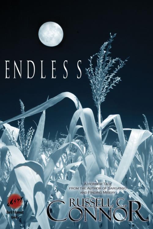 Cover of the book Endless by Russell C. Connor, Russell C. Connor