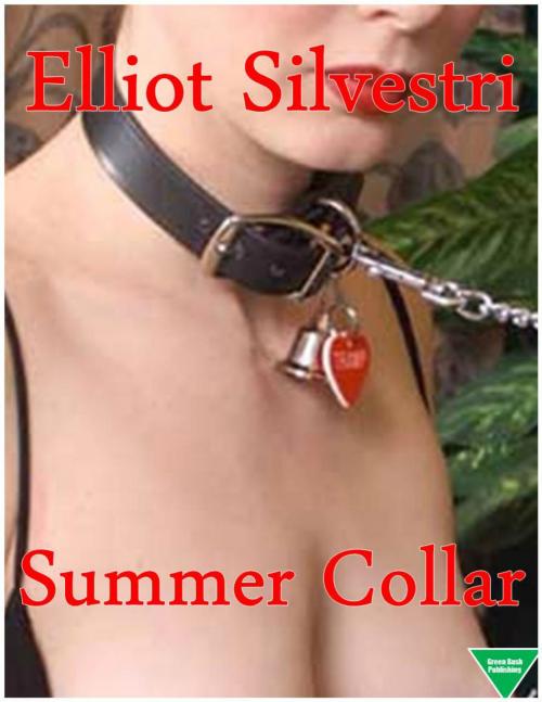 Cover of the book Summer Collar by Elliot Silvestri, Elliot Silvestri