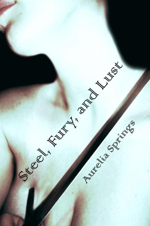 Cover of the book Steel, Fury, and Lust by Aurelia Springs, Aurelia Springs