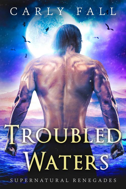 Cover of the book Troubled Waters by Carly Fall, Carly Fall