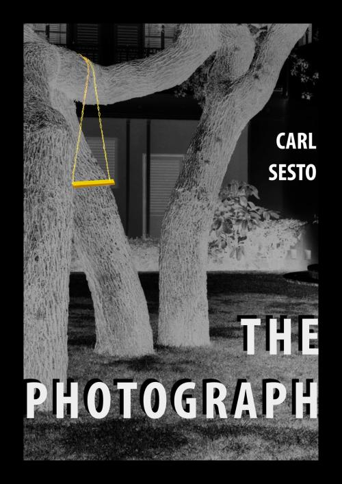 Cover of the book The Photograph by Carl Sesto, Carl Sesto