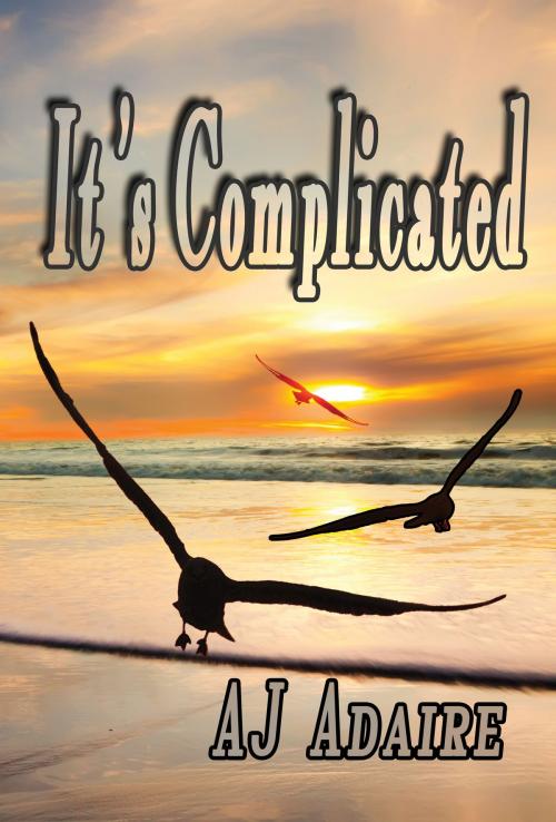 Cover of the book It's Complicated by AJ Adaire, Desert Palm Press