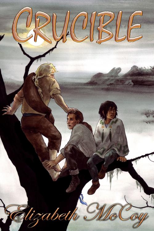 Cover of the book Crucible by Elizabeth McCoy, Elizabeth McCoy