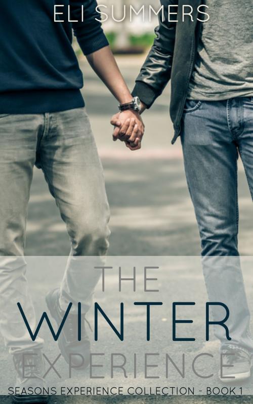 Cover of the book The Winter Experience (Book #1 Season Experience Collection) by Eli Summers, Eli Summers