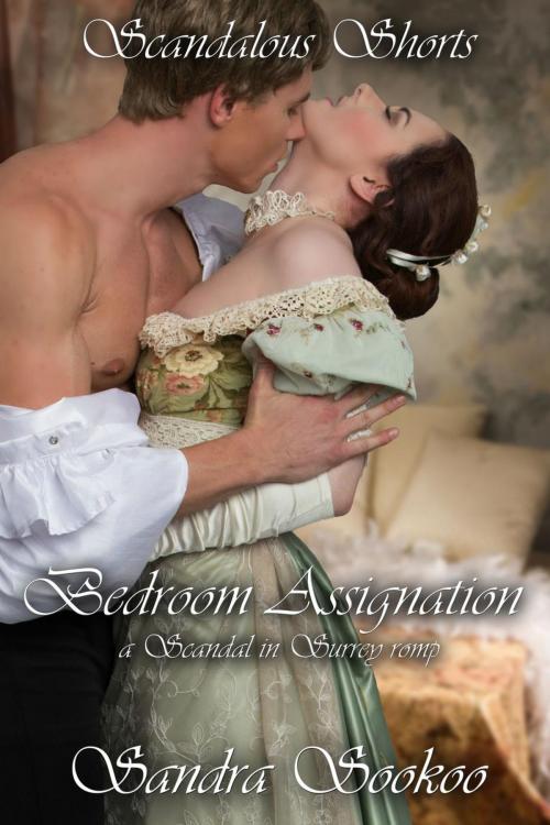 Cover of the book Bedroom Assignation by Sandra Sookoo, New Independence Books