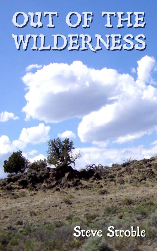 Cover of the book Out of the Wilderness by Steve Stroble, Steve Stroble