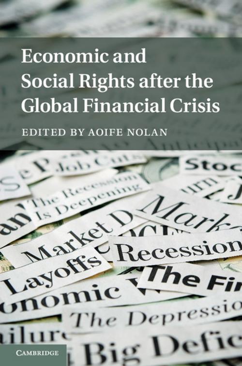 Cover of the book Economic and Social Rights after the Global Financial Crisis by , Cambridge University Press