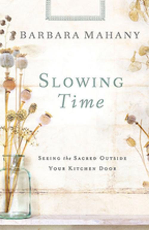 Cover of the book Slowing Time by Barbara Mahany, Abingdon Press