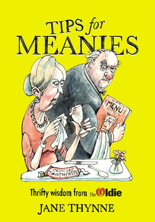 Cover of the book Tips for Meanies by Jane Thynne, Random House