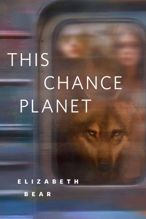 Cover of the book This Chance Planet by Elizabeth Bear, Tom Doherty Associates