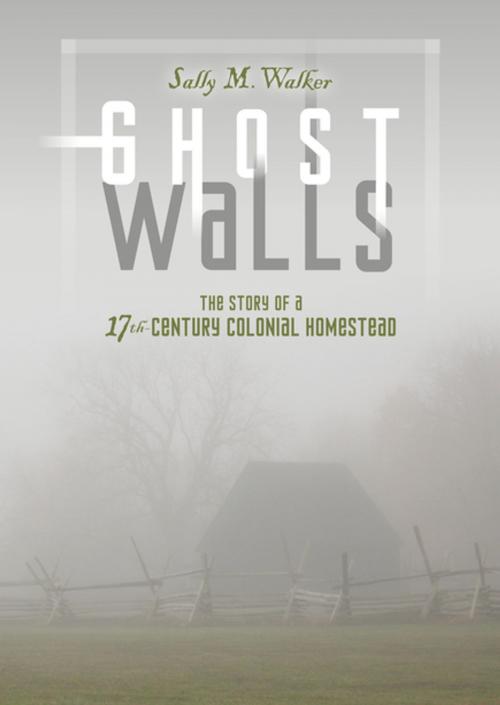 Cover of the book Ghost Walls by Sally M. Walker, Lerner Publishing Group