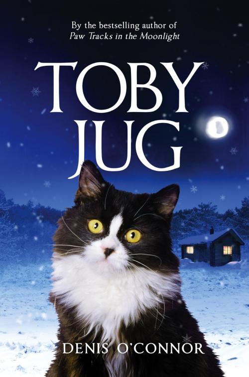 Cover of the book Toby Jug by Denis John O'Connor, Little, Brown Book Group