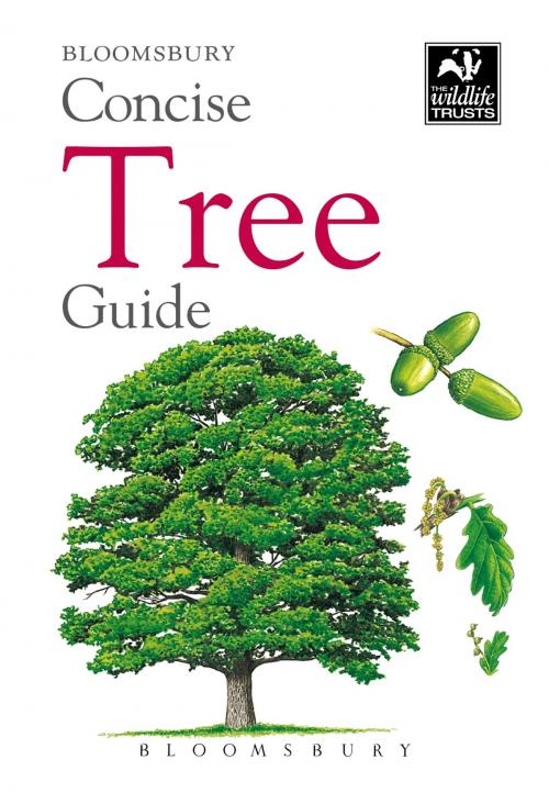 Cover of the book Concise Tree Guide by Bloomsbury, Bloomsbury Publishing