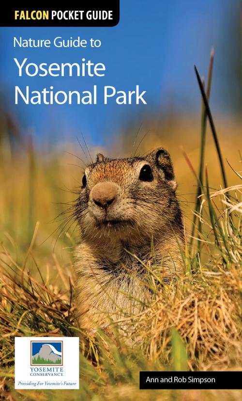 Cover of the book Nature Guide to Yosemite National Park by Ann Simpson, Rob Simpson, Falcon Guides