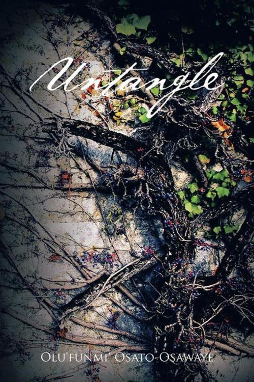 Cover of the book Untangle by Olu’funmi’ Osato-Osawaye, AuthorHouse UK