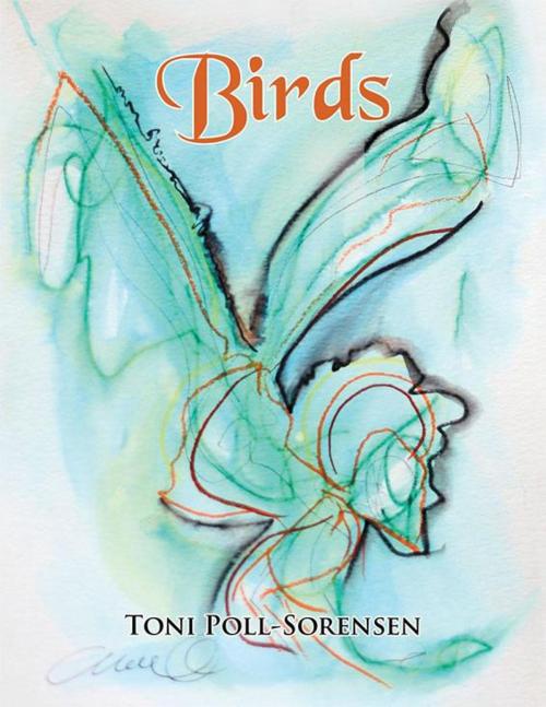 Cover of the book Birds by Toni Poll-Sorensen, Xlibris US