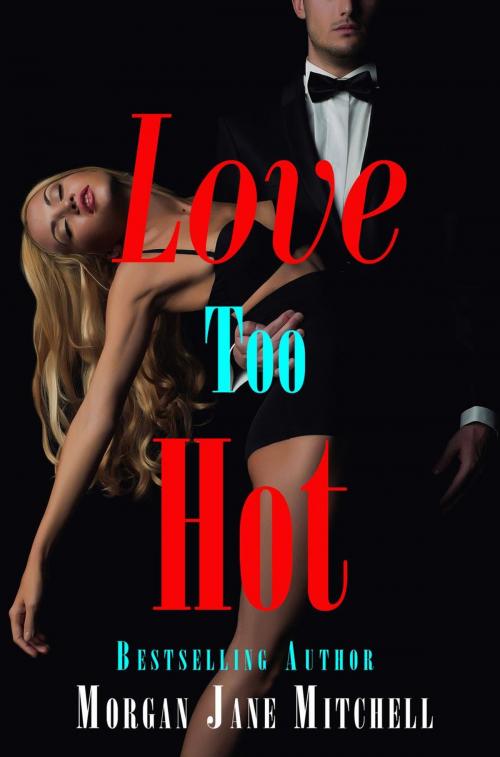 Cover of the book Love Too Hot by Morgan Jane Mitchell, Morgan Jane Mitchell