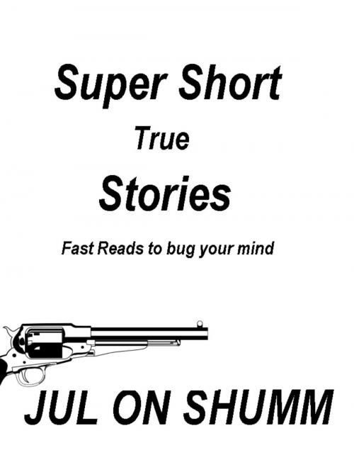 Cover of the book Super Short True Stories by Jul on Shumm, Jul on Shumm
