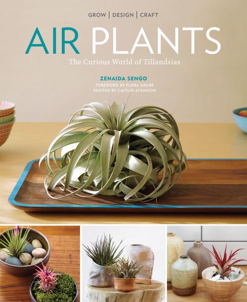 Cover of the book Air Plants by Zenaida Sengo, Timber Press