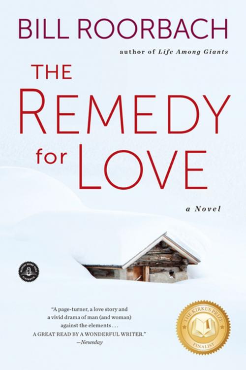 Cover of the book The Remedy for Love by Bill Roorbach, Algonquin Books